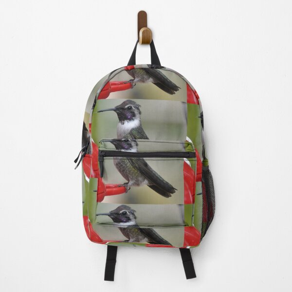 Item preview, CUTE MALE HUMMER WAITING FOR PARTNER designed and sold by JAYMILO.