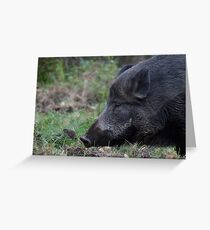 Boring Greeting Card