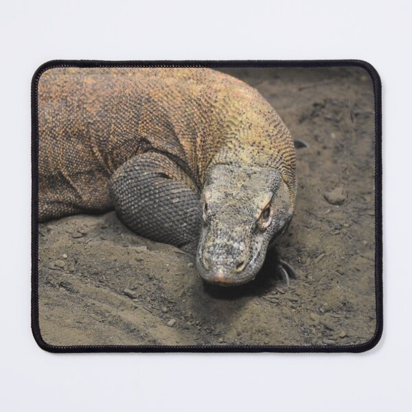 Item preview, Komodo Dragon designed and sold by Sharon the Zoo Lady Photography .