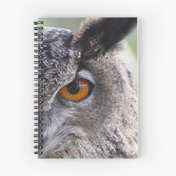 Item preview, Eurasia Eagle Owl  designed and sold by Sharon the Zoo Lady Photography .