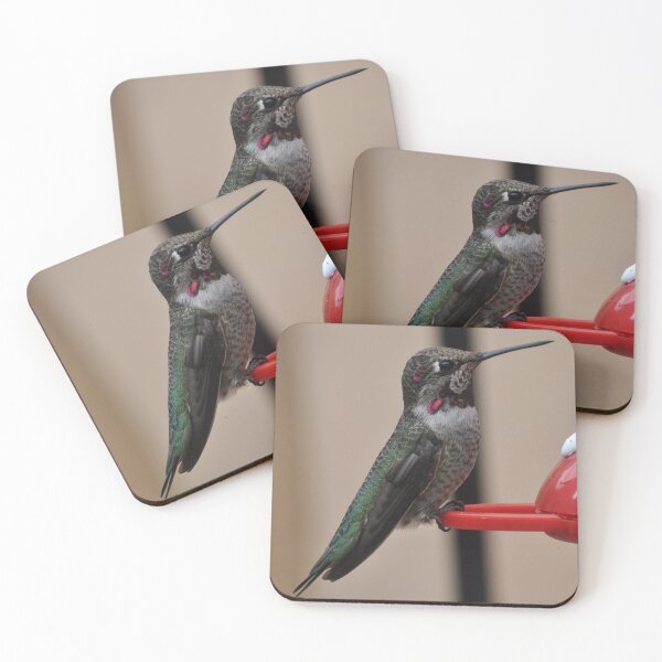 Item preview, CUTE MALE HUMMER WAITING FOR PARTNER-2 designed and sold by JAYMILO.