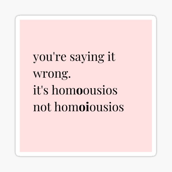Item preview, you're saying it wrong, pink designed and sold by Beth Felker Jones.