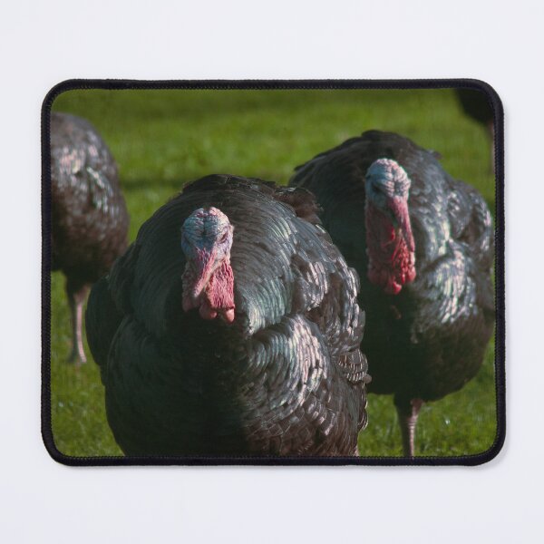 Item preview, turkeys on a farm designed and sold by Francespoppy.