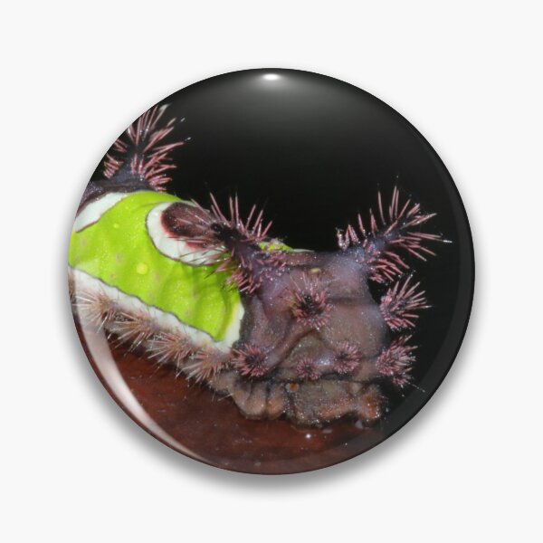 Item preview, Saddleback Caterpillar   |   Nature designed and sold by RedHandedOD.
