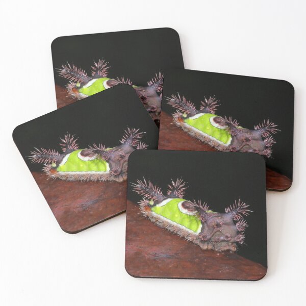 Item preview, Saddleback Caterpillar   |   Nature designed and sold by RedHandedOD.