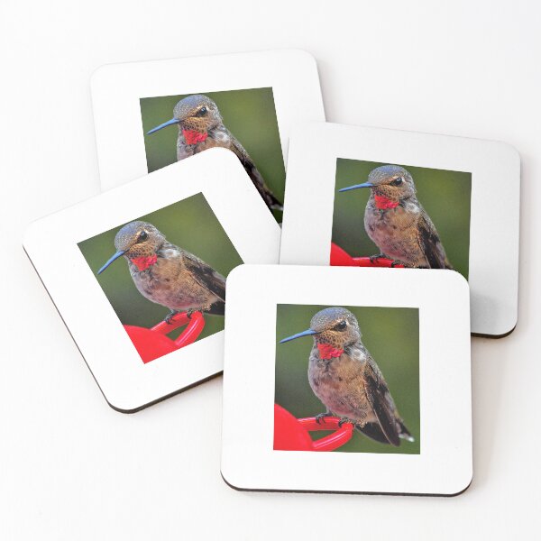 Item preview, male hummer waiting for partner 3 designed and sold by JAYMILO.