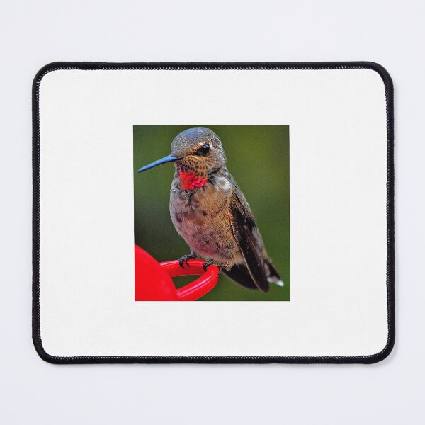 Item preview, male hummer waiting for partner 3 designed and sold by JAYMILO.