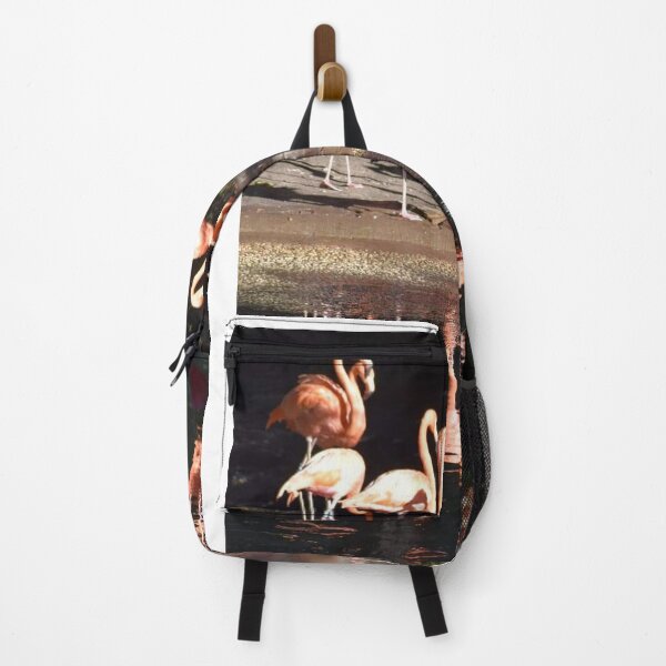 Item preview, Caribbean Flamingo designed and sold by Sharon the Zoo Lady Photography .