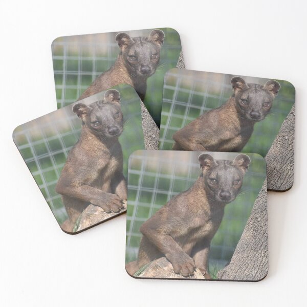 Item preview, Fosa designed and sold by Sharon the Zoo Lady Photography .