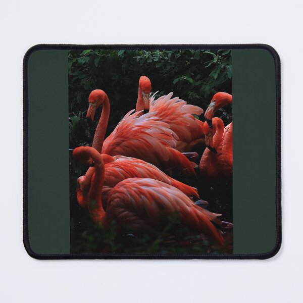Item preview, PINK FLAMINGO - CHILD OF SUNSET designed and sold by WinningWorld.