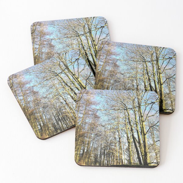 Item preview, Trees in winter sunshine photograph  designed and sold by esvb.