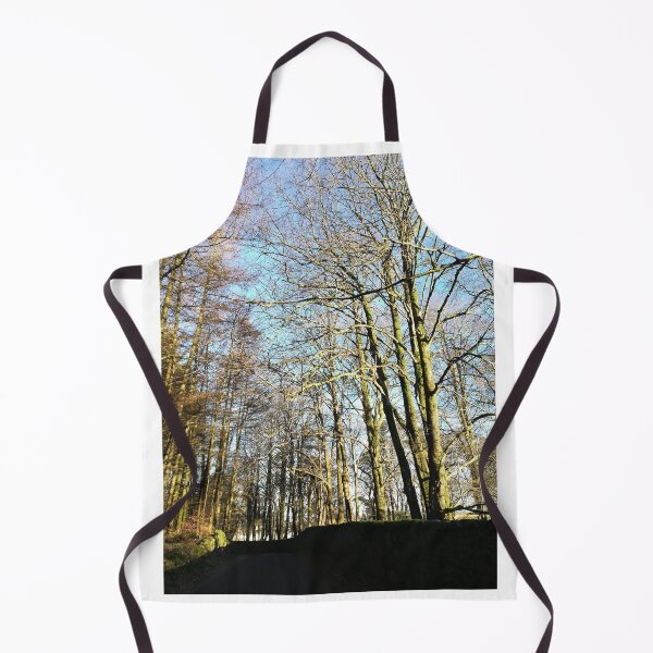 Item preview, Trees in winter sunshine photograph designed and sold by esvb.
