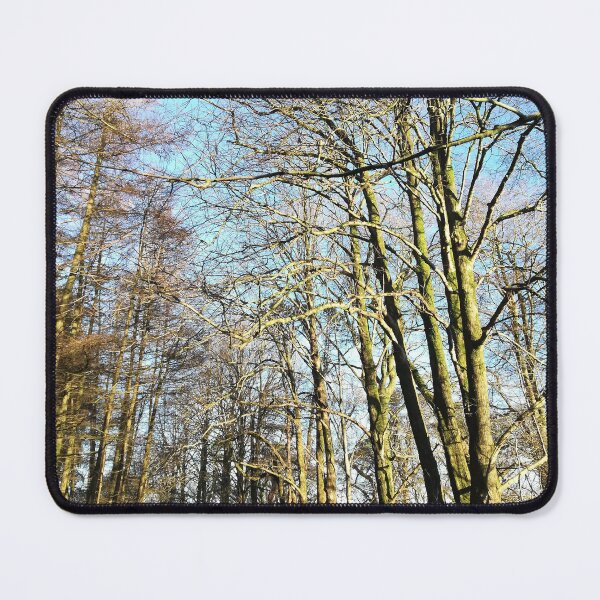 Item preview, Trees in winter sunshine photograph designed and sold by esvb.