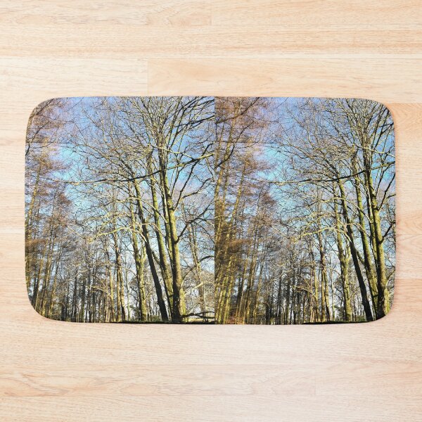 Item preview, Trees in winter sunshine photograph  designed and sold by esvb.