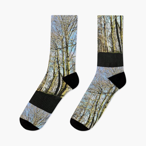 Item preview, Trees in winter sunshine photograph  designed and sold by esvb.