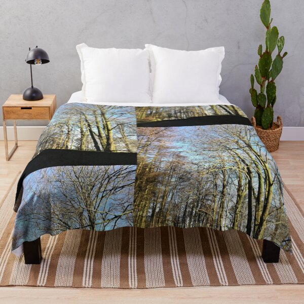 Item preview, Trees in winter sunshine photograph  designed and sold by esvb.