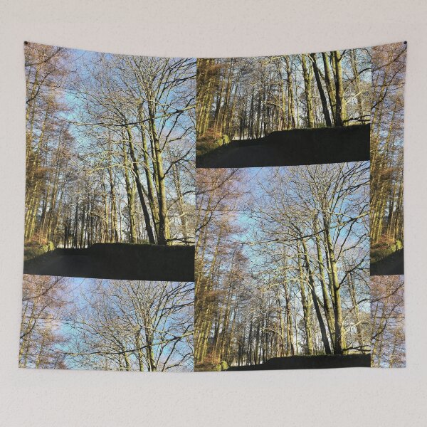 Item preview, Trees in winter sunshine photograph  designed and sold by esvb.