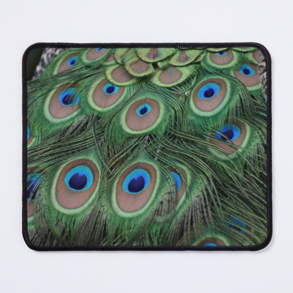 Item preview, Javan Green Peafowl  designed and sold by Sharon the Zoo Lady Photography .