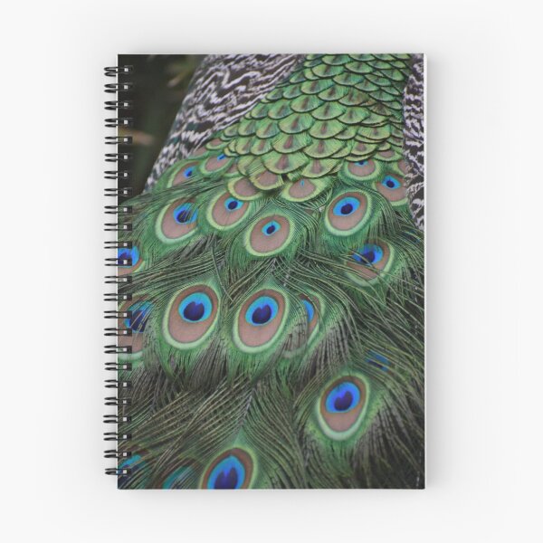 Item preview, Javan Green Peafowl  designed and sold by Sharon the Zoo Lady Photography .