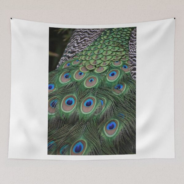 Item preview, Javan Green Peafowl  designed and sold by Sharon the Zoo Lady Photography .