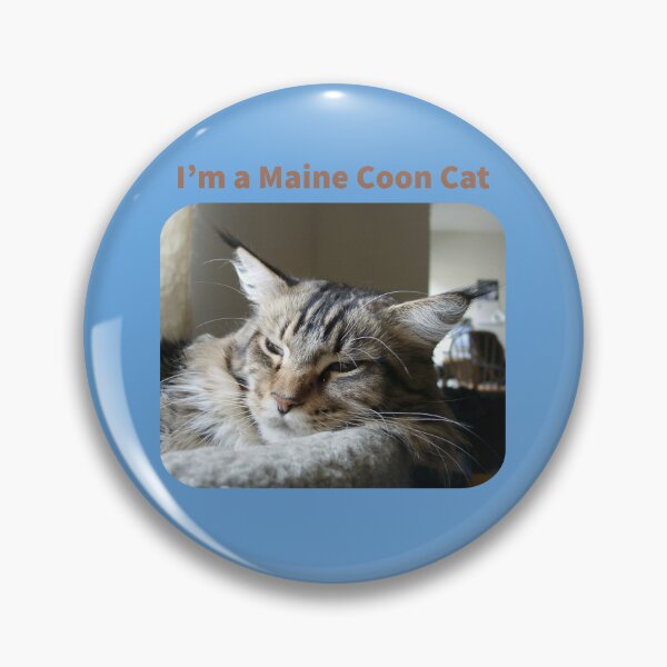 Artikelvorschau, Ich bin eine Maine-Coon-Katze entworfen und verkauft von TechLaughs.