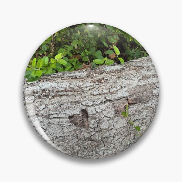 Item preview, Heart in Tree Bark designed and sold by mcasher4.