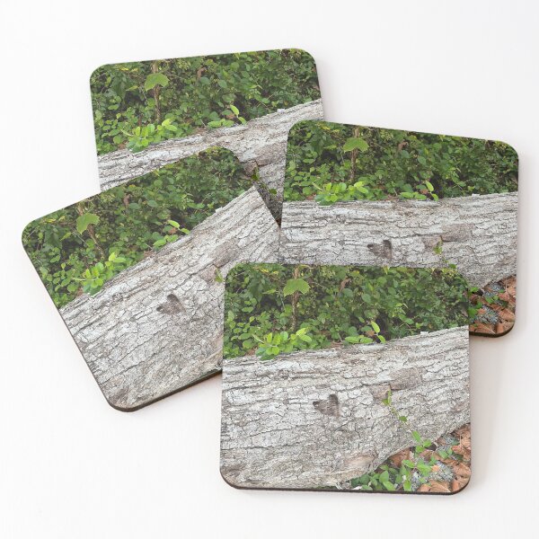 Item preview, Heart in Tree Bark designed and sold by mcasher4.