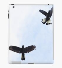 Yellow Tailed Black Cockatoos, Eden Hills iPad Case/Skin