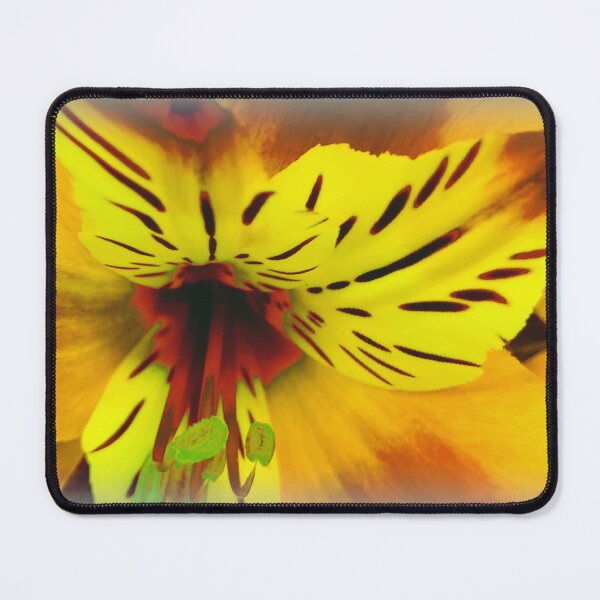 Artikelvorschau, Blume springt heraus entworfen und verkauft von Andrew Ballard.