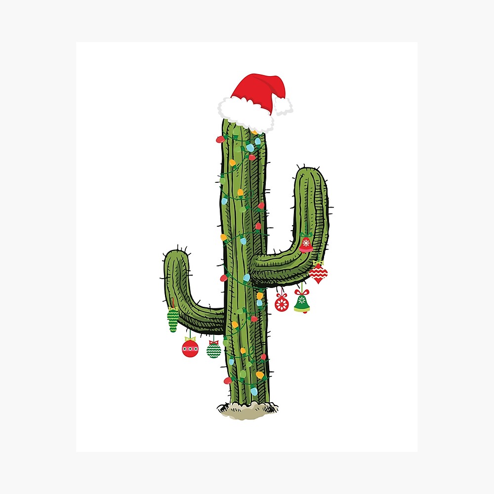 santa hat on cactus