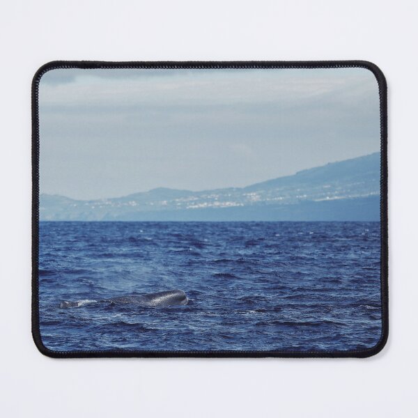 Item preview, Azores Whale designed and sold by joshjdss1.