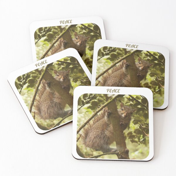 Item preview, SQUIRRELS FOR PEACE designed and sold by TechLaughs.