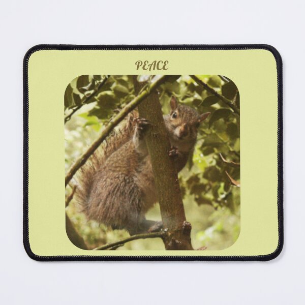 Item preview, SQUIRRELS FOR PEACE designed and sold by TechLaughs.
