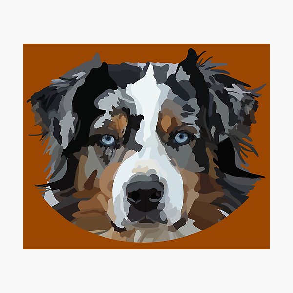 Artikel-Vorschau von Australian Shepherd Handgezeichnete digitale Kunst, designt und verkauft von Lartheviking.