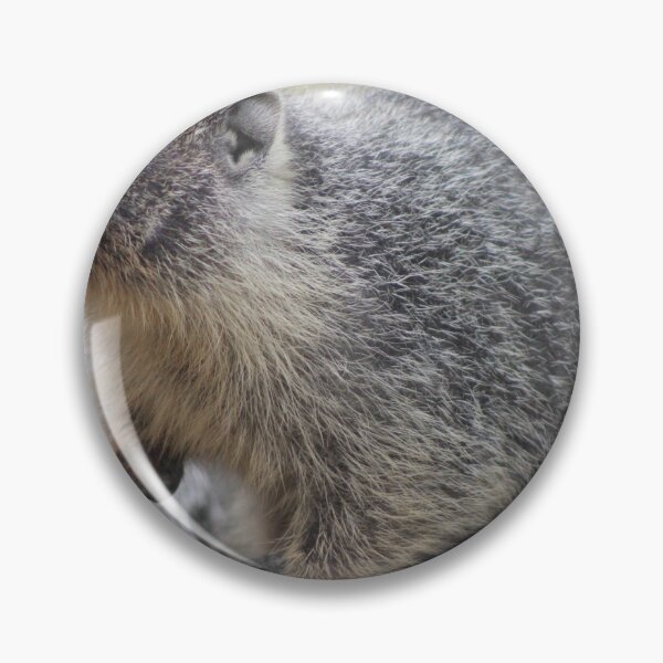 Item preview, Curious marmot designed and sold by vernonite.