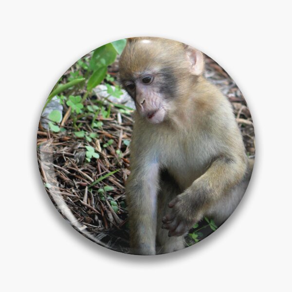 Item preview, Young Barbary ape designed and sold by vernonite.