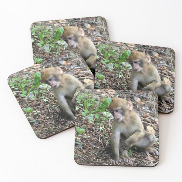 Item preview, Young Barbary ape designed and sold by vernonite.