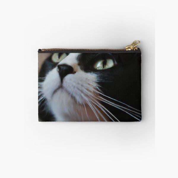 Item preview,  Cat meditates designed and sold by Yaghmoure.