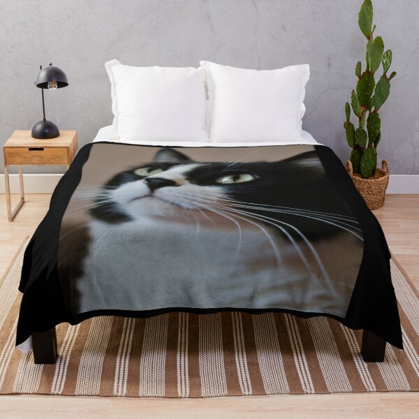 Item preview,  Cat meditates designed and sold by Yaghmoure.