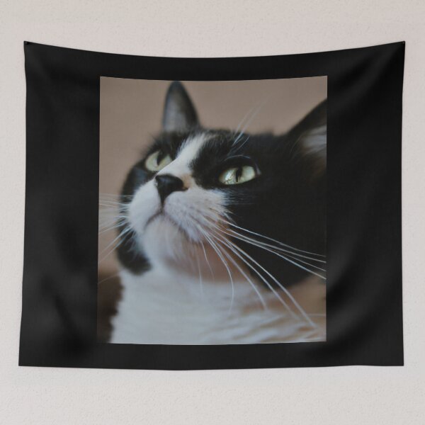 Item preview,  Cat meditates designed and sold by Yaghmoure.
