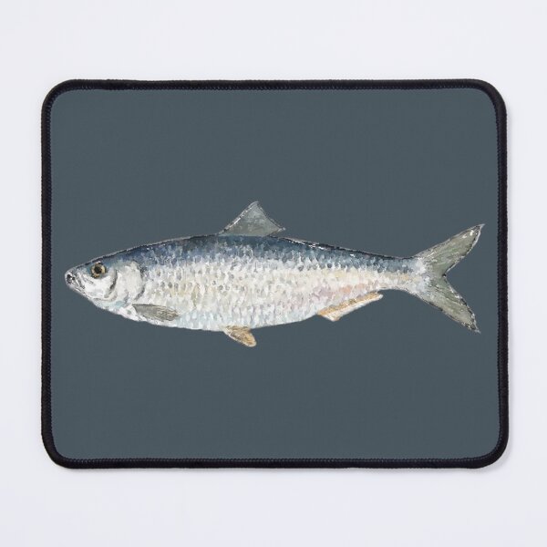 Item preview, Alewife River Herring Watercolor Art designed and sold by jjomally1.