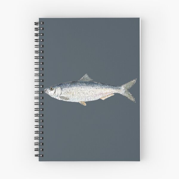 Item preview, Alewife River Herring Watercolor Art designed and sold by jjomally1.