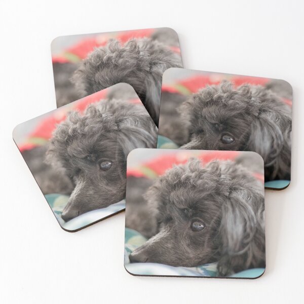 Item preview, Poodle Toy designed and sold by KensLensDesigns.