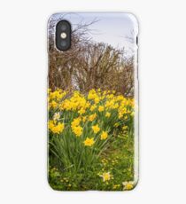 Daffodils iPhone Case/Skin