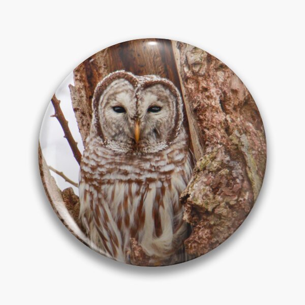 Item preview, Barred Owl in tree designed and sold by FlyingLilly.