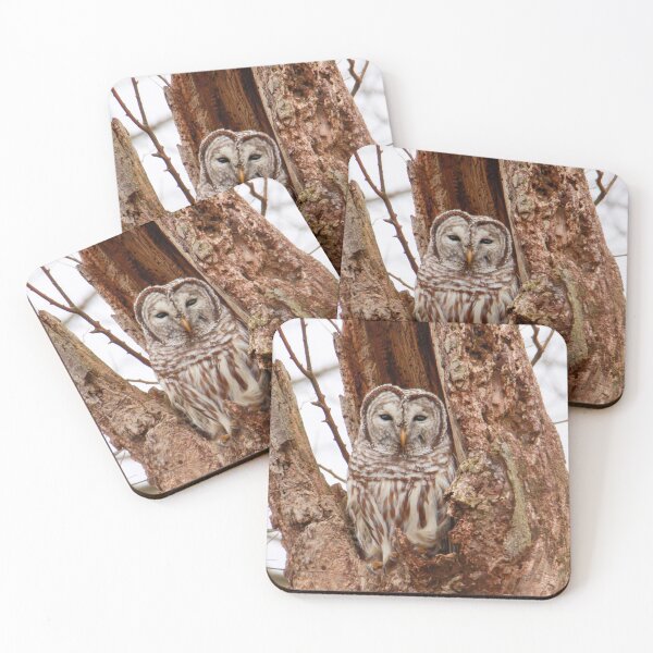 Item preview, Barred Owl in tree designed and sold by FlyingLilly.
