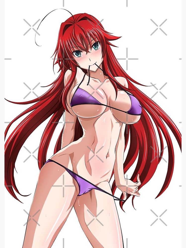 Rias Gremory  Highschool dxd, Anime high school, Dxd