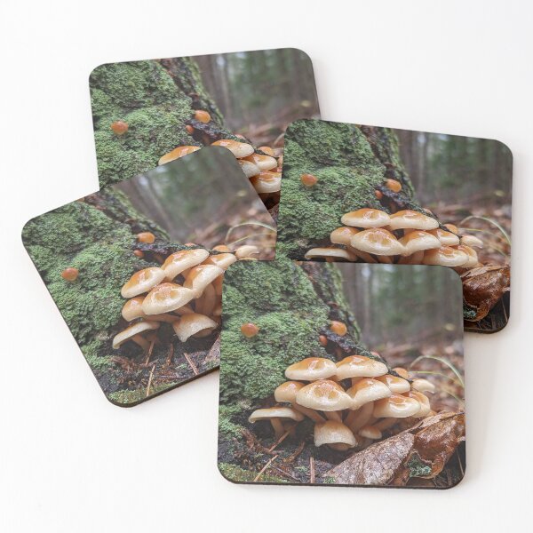 Item preview, Holy Hypholoma! designed and sold by Meaghan Wanders photography.