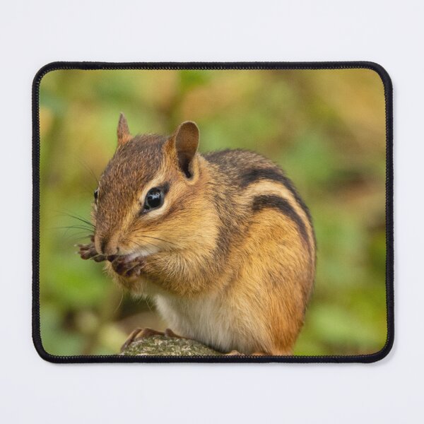 Artikelvorschau, Chipmunk entworfen und verkauft von FlyingLilly.
