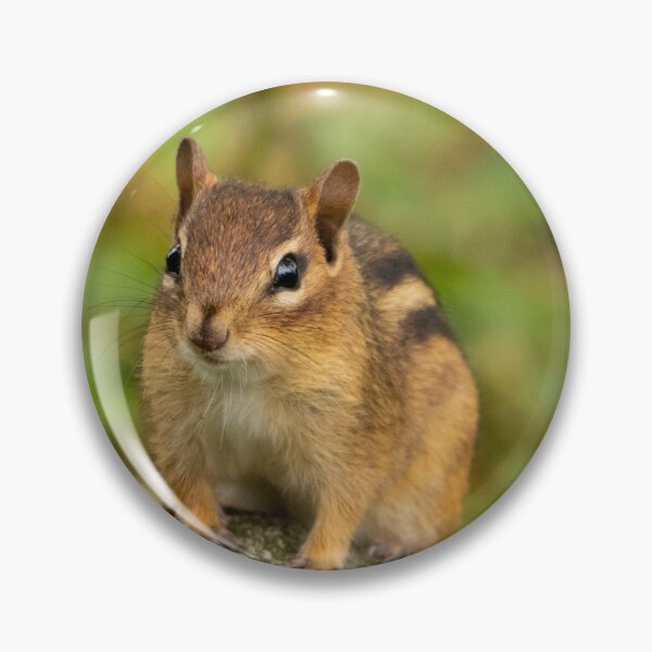 Item preview, Chipmunk designed and sold by FlyingLilly.